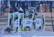À vendre Égérie d'hurl'vent gagnante Poney Élite 
