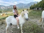 Cheval Camargue