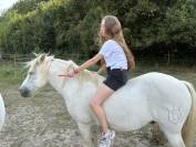 Cheval Camargue