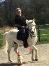 Cheval Camargue