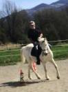 Cheval camargue