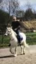 Cheval camargue
