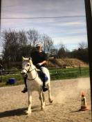 Cheval camargue