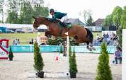 Very good German Sport Horse