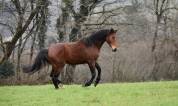 SF par Mylord Carthago - 4 ans 