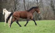 SF par Mylord Carthago - 4 ans 