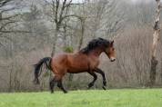 SF par Mylord Carthago - 4 ans 