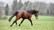 SF par Mylord Carthago - 4 ans 