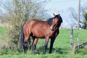 SF par Mylord Carthago - 4 ans 