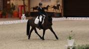 maître d’école pour dressage/a former CSO-CCE