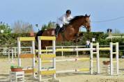 Castrone BWP 2012