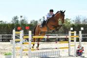 Castrone BWP 2012