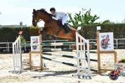 Castrone BWP 2012