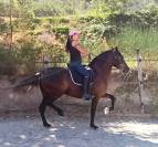 Magnifique Jument Pure Race Espagnole