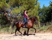 Magnifique Jument Pure Race Espagnole