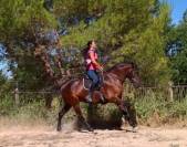 Magnifique Jument Pure Race Espagnole