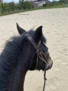 Ponette taille C 7 ans 
