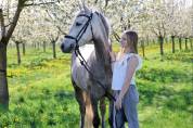 Trueno - beau poney espagnol