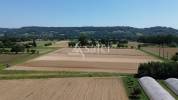 Vegetable farm  Lot-et-Garonne