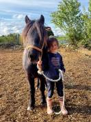 Ponette Sheltand 