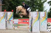 Ponette Welsh Cob 6 ans