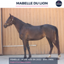 MABELLE DU LION - AQPS - 3 ANS