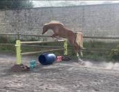 Poney monté et attelé 