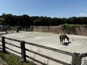 Equestrian property  Morbihan