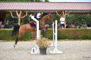 SUPER PONETTE DE SPORT CSO/DRESSAGE