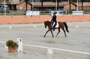 SUPER PONETTE DE SPORT CSO/DRESSAGE