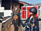 SUPER PONETTE DE SPORT CSO/DRESSAGE