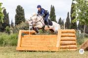 Poney Connemara Sport