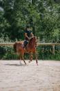 ? À VENDRE – Jument Selle Français de Sport ?