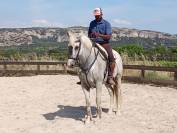 Plusieurs chevaux disponible à la vente 