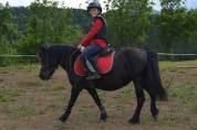 Ponette