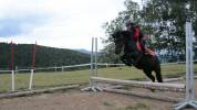 Ponette