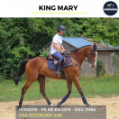 KING MARY - PS - 6 ANS