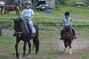 Poney B
