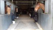 Installations equestres CSO