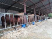 Installations equestres CSO