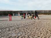 Installations equestres CSO