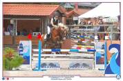 Veulen (ml) Welsh Pony (Section B) Te koop 2025 Vos
