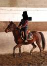 Cheval à vendre Jument trotteuse de 12 ans