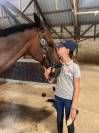 Ruin Andere paarden rassen Te koop 2012 Donker bruin / bai ,  MARESCA SORRENTO