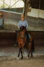Caballo castrado Lusitano En venta 2016 Bayo por campeador csm