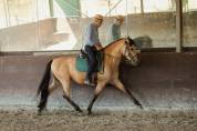 Ruin PRE Puur Ras Spaans Te koop 2015 Isabel ,  Invasor JCM