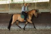 Ruin PRE Puur Ras Spaans Te koop 2015 Isabel ,  Invasor JCM
