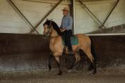 Ruin PRE Puur Ras Spaans Te koop 2015 Isabel ,  Invasor JCM