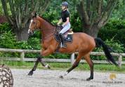 6 ans | Z | Jobolensky Sitte x Copin van de Broy