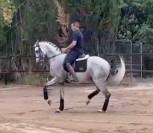 Un cheval facile, très avancé, et à un prix vraiment.
